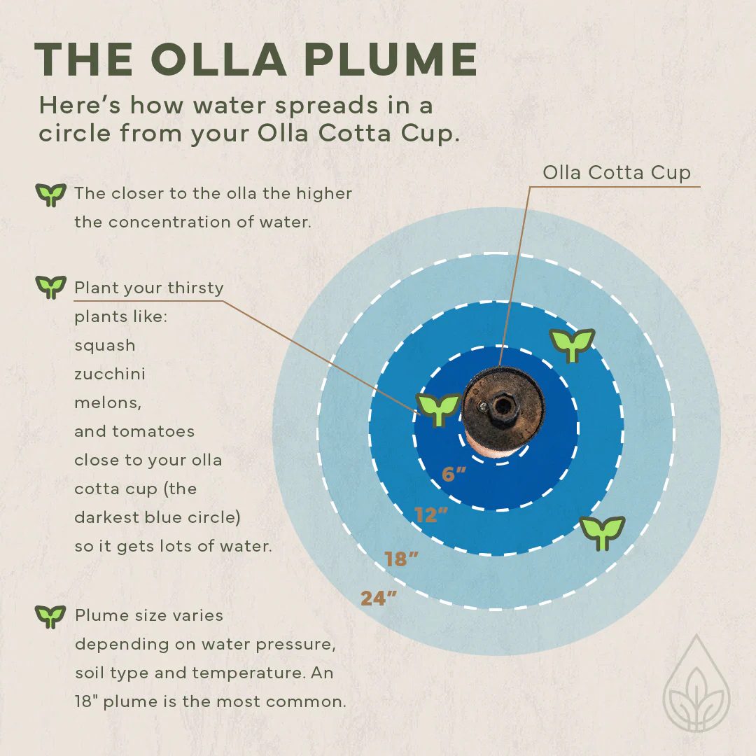 CottaCup Olla Expansion Pack + FREE Winter Storage Box - Image 11