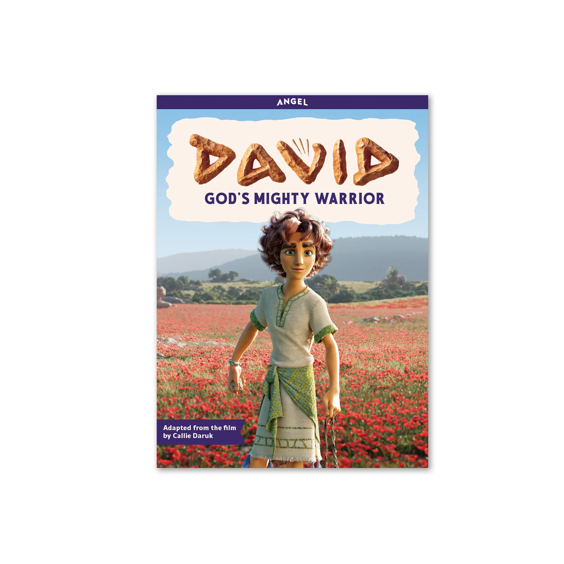 DAVID: God’s Mighty Warrior Children's Book