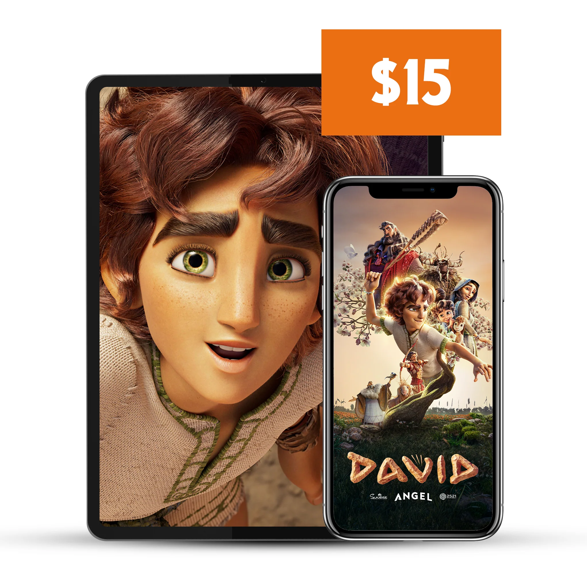 DAVID™ - Pay It Forward