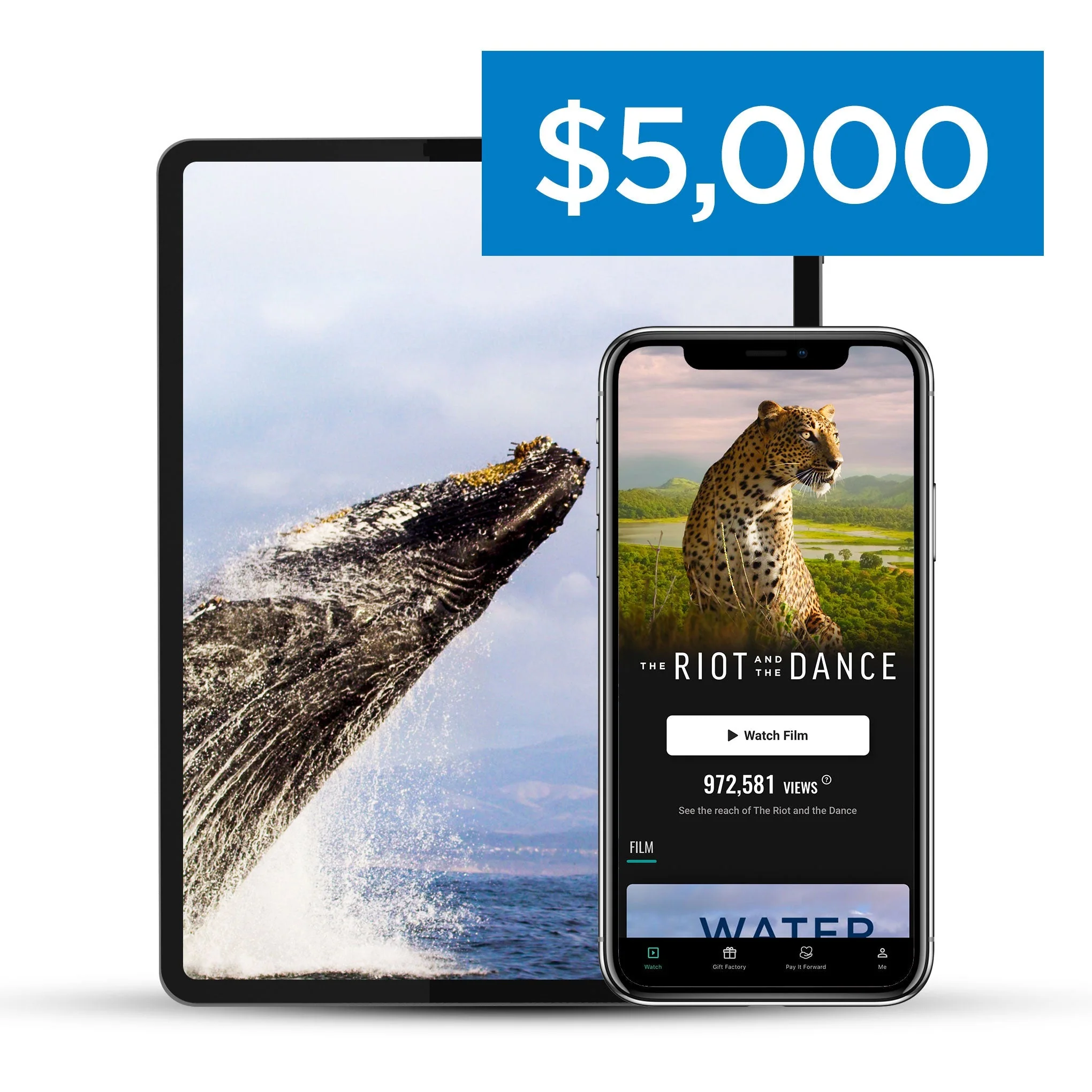 Riot & The Dance - Pay It Forward - Image 6