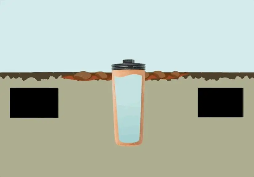 CottaCup Olla System – 2X Harvest, 61% Less Water - Image 7