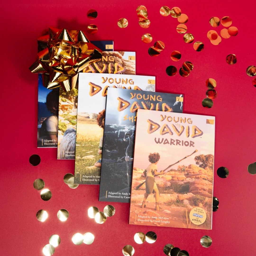 YOUNG DAVID Chapter Book Bundle - Image 3